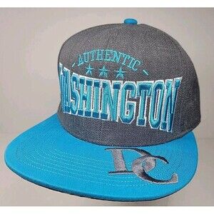 Authentic Washington DC Souvenir Hat Cap Snapback DC ONE NWOT Embroidered